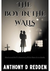 The Boy in the Walls