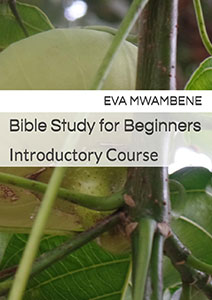Bible Study for Beginners 