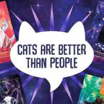 Cats Are Better Than People