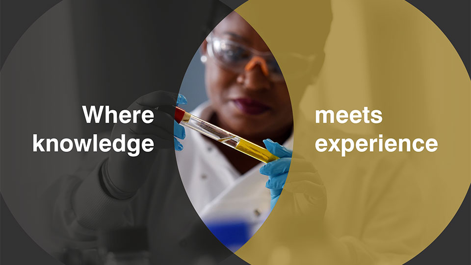Apprentice in a lab examining a test tube
