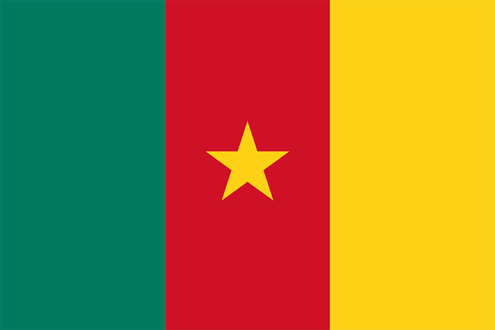 Flag of Cameroon