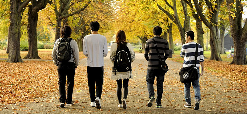 International students enjoying time together in a UK park before starting their studies