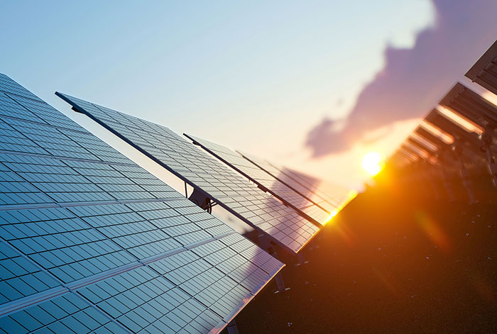 Net Zero Future