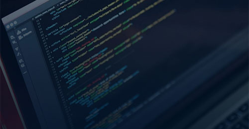 Digital skills