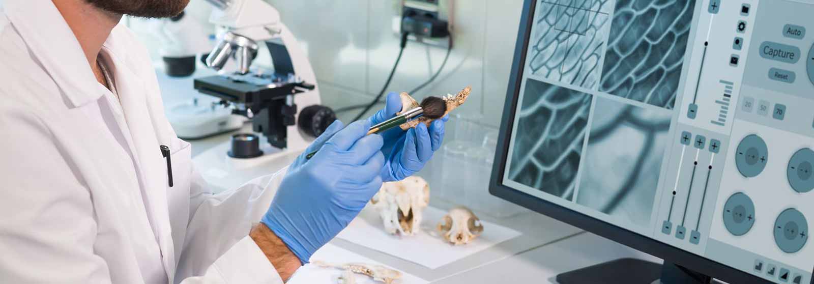 Archaeologist working in a natural research lab, examining samples and equipment in a scientific setting.